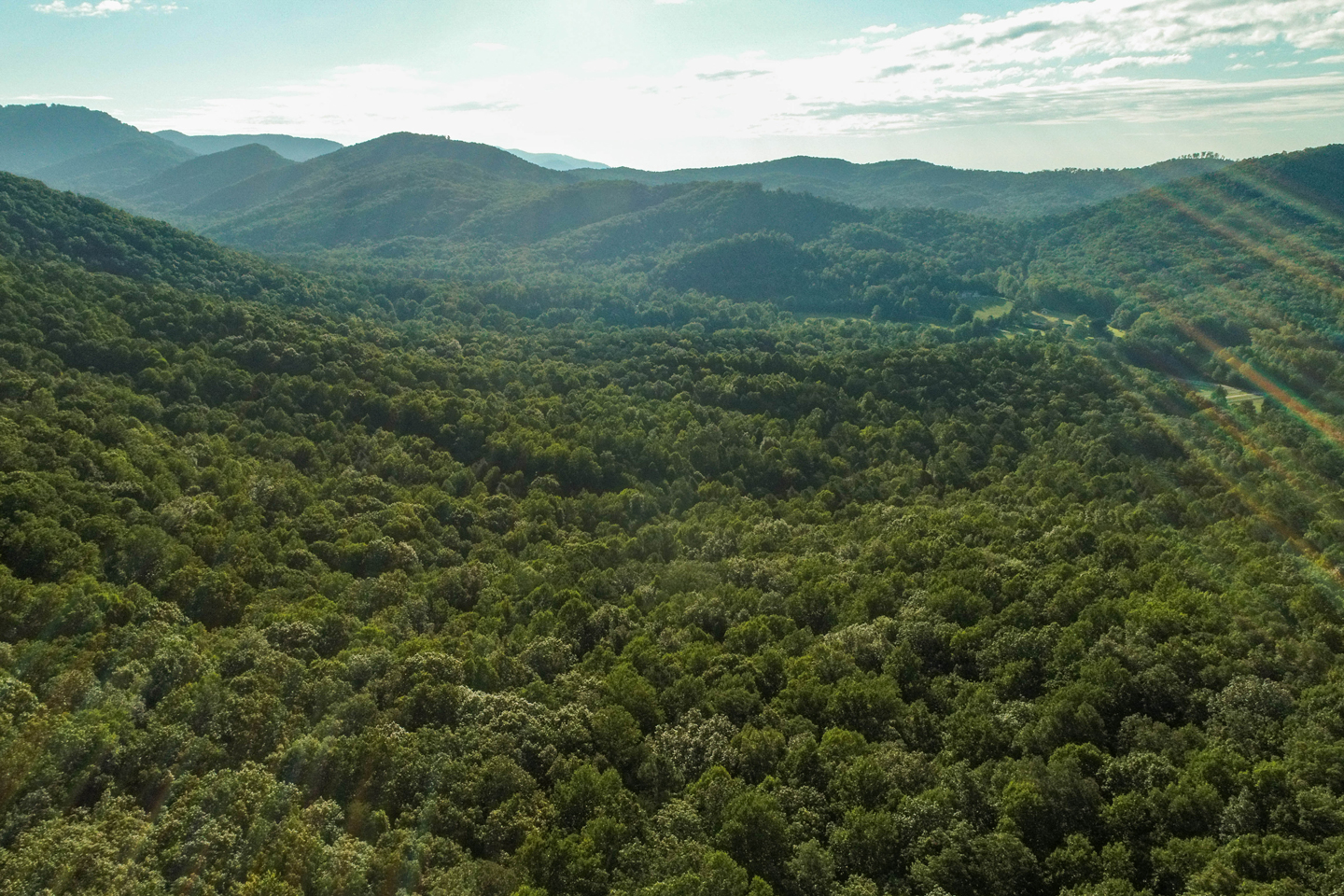 The conservation of this property significantly expands protected acreage along the Blue Ridge Escarpment.