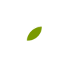 Upstate Forever