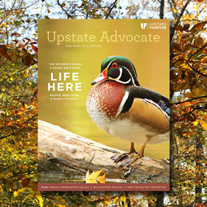 The Fall/Winter 2021-2022 issue of the Upstate Advocate has arrived