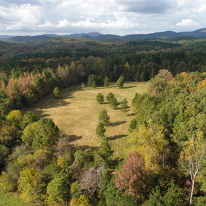 More than 700 acres in Anderson, Greenville, Pickens Counties recently protected by Upstate Forever