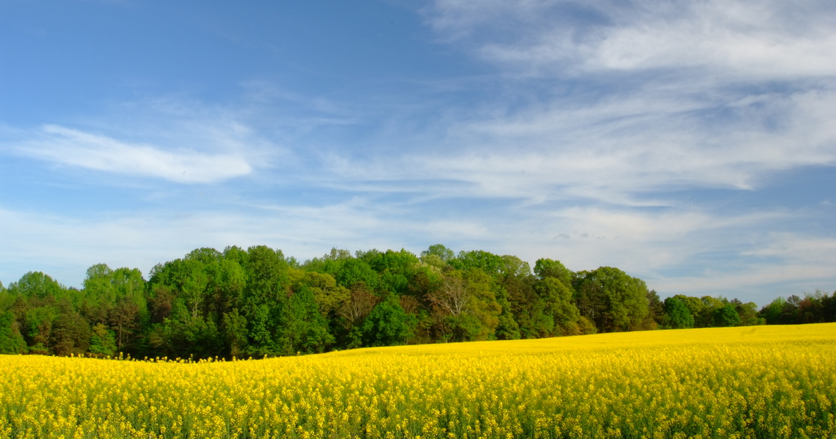 Geer Keys The Steward - SC Conservation Easement Landowners | Upstate Forever