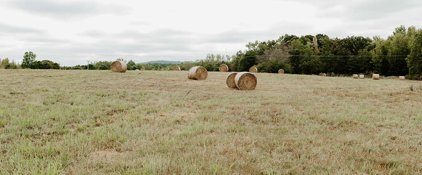 The Upstate's farms are under threat