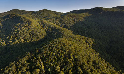 Greenville County adopts conservation trust fund to protect threatened resources