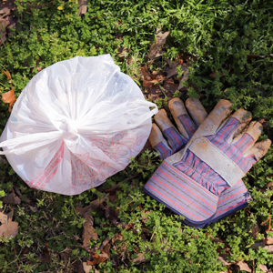 Celebrate Earth Month with our Virtual Community Cleanup Challenge!