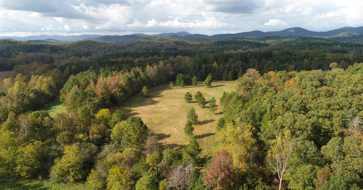 The protection of Blackwell Farm helps safeguard natural areas in a rapidly developing area of Northern Greenville County