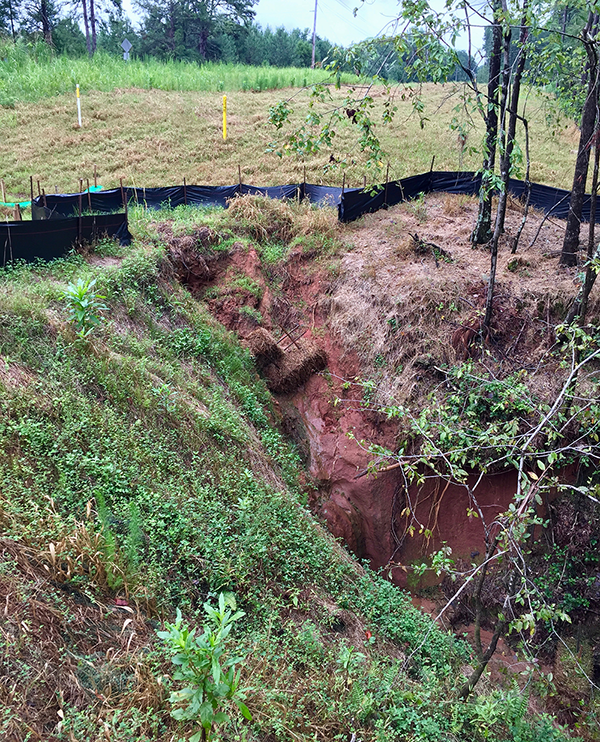 Deep gully forming beside Dominion's new high pressure natural gas pipeline in Spartanburg County. The yellow pole is the pipeline's location.