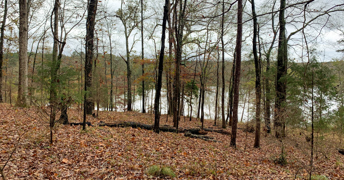 Five Oaks Farm contains more than a mile of frontage along the Saluda River