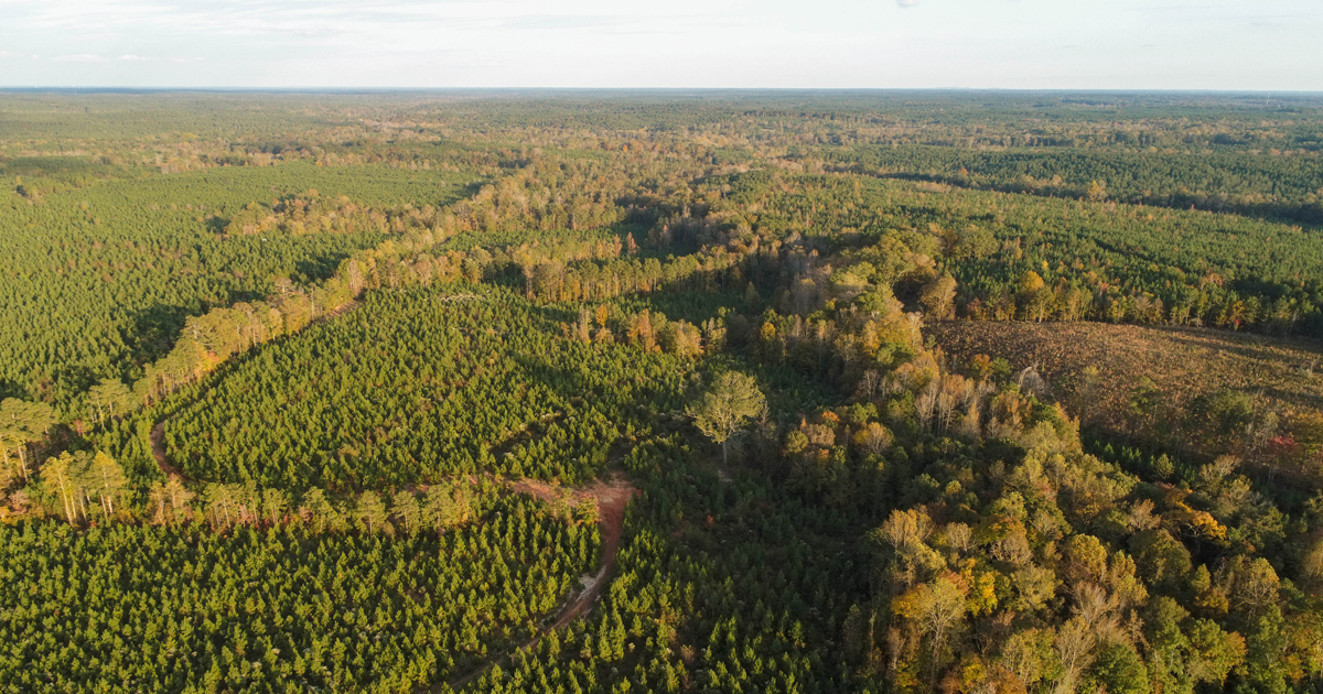 Gobblers Roost, a newly protected 1,020-acre property in Laurens and Newberry Counties