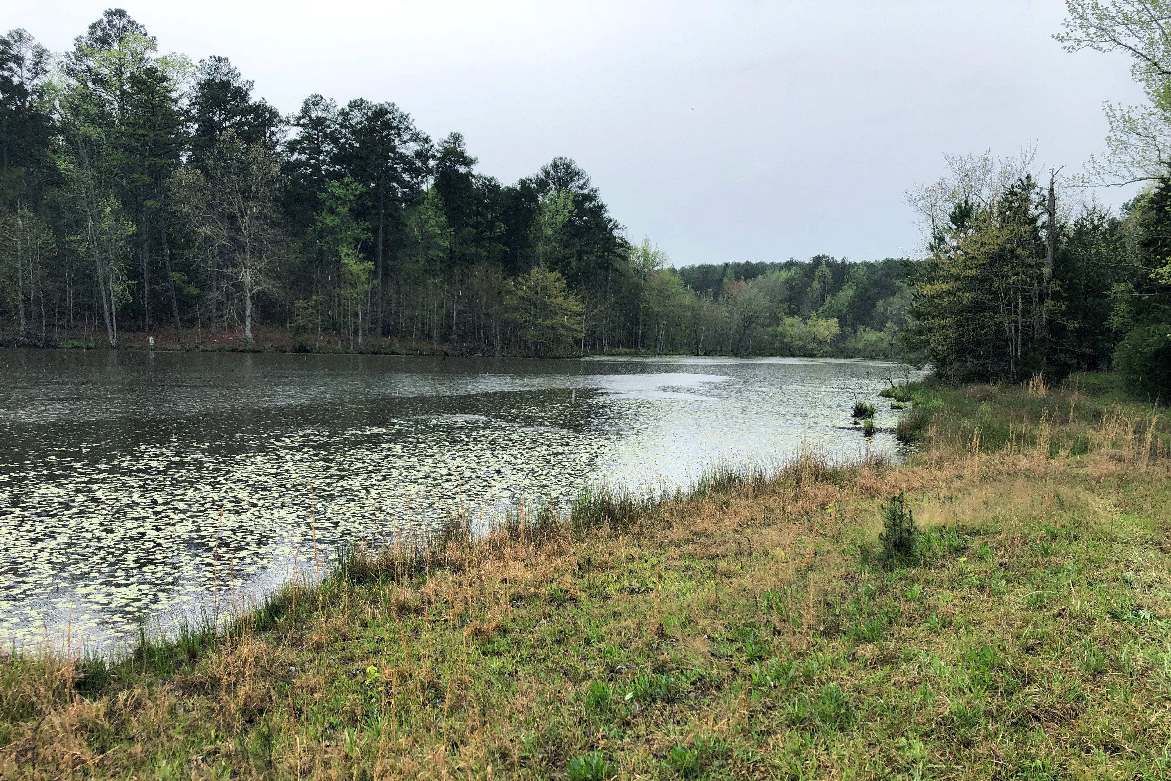 Oak Grove Farm Mitigation Bank