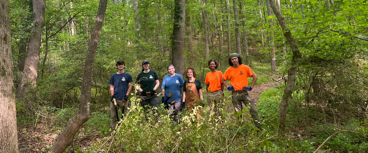 Palmetto Conservation Corps Summer Crew removes invasive species at Conestee Nature Preserve
