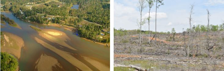Examples of sedimentation in the Lake Greenwood watersheds (left) and clear cutting in the Twelvemile Creek Watershed (right) 