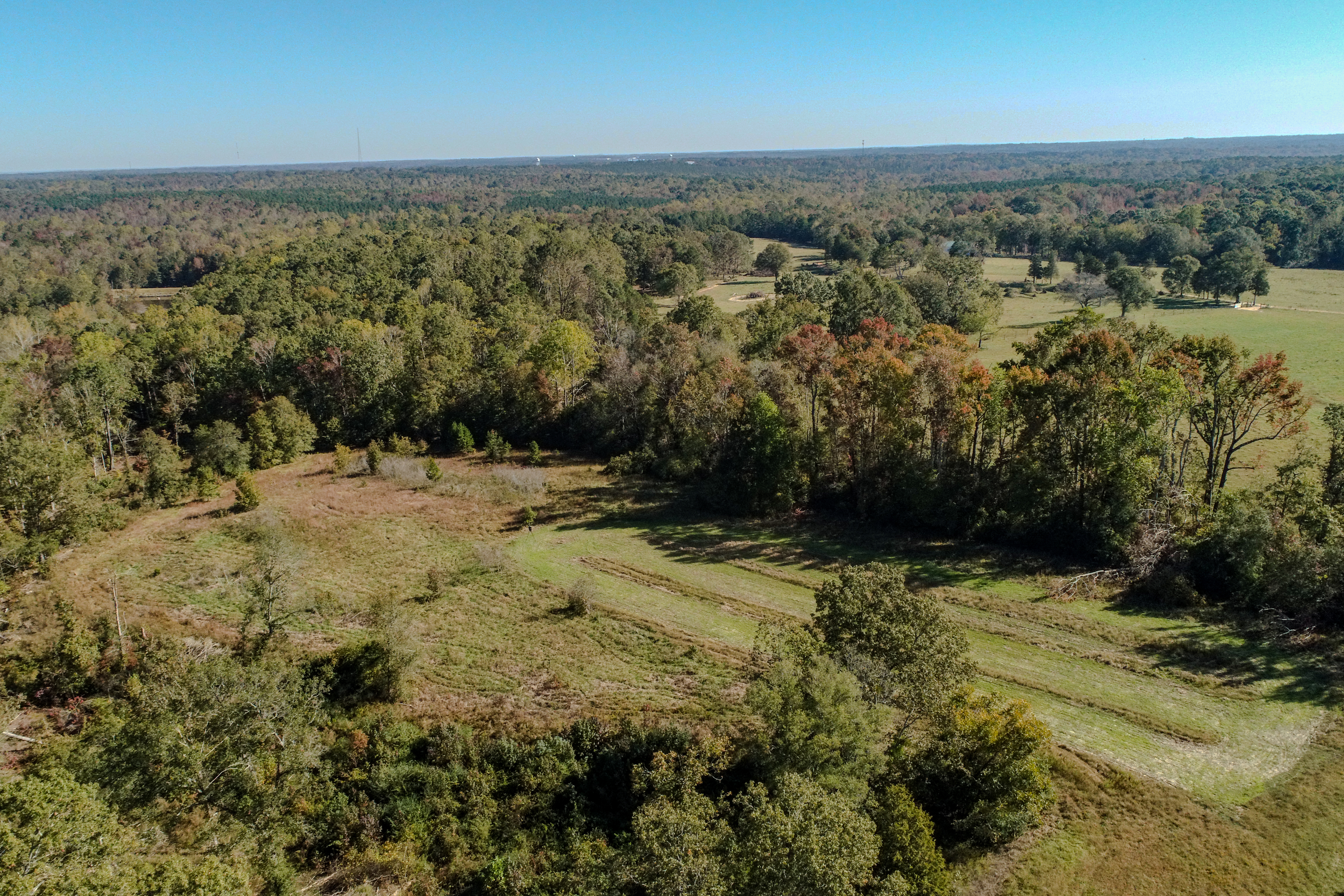 Thomason Farm