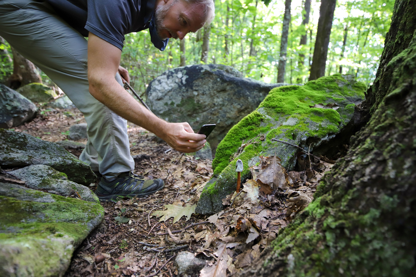 Scott Park spots an interesting mushroom on this recently protected property.