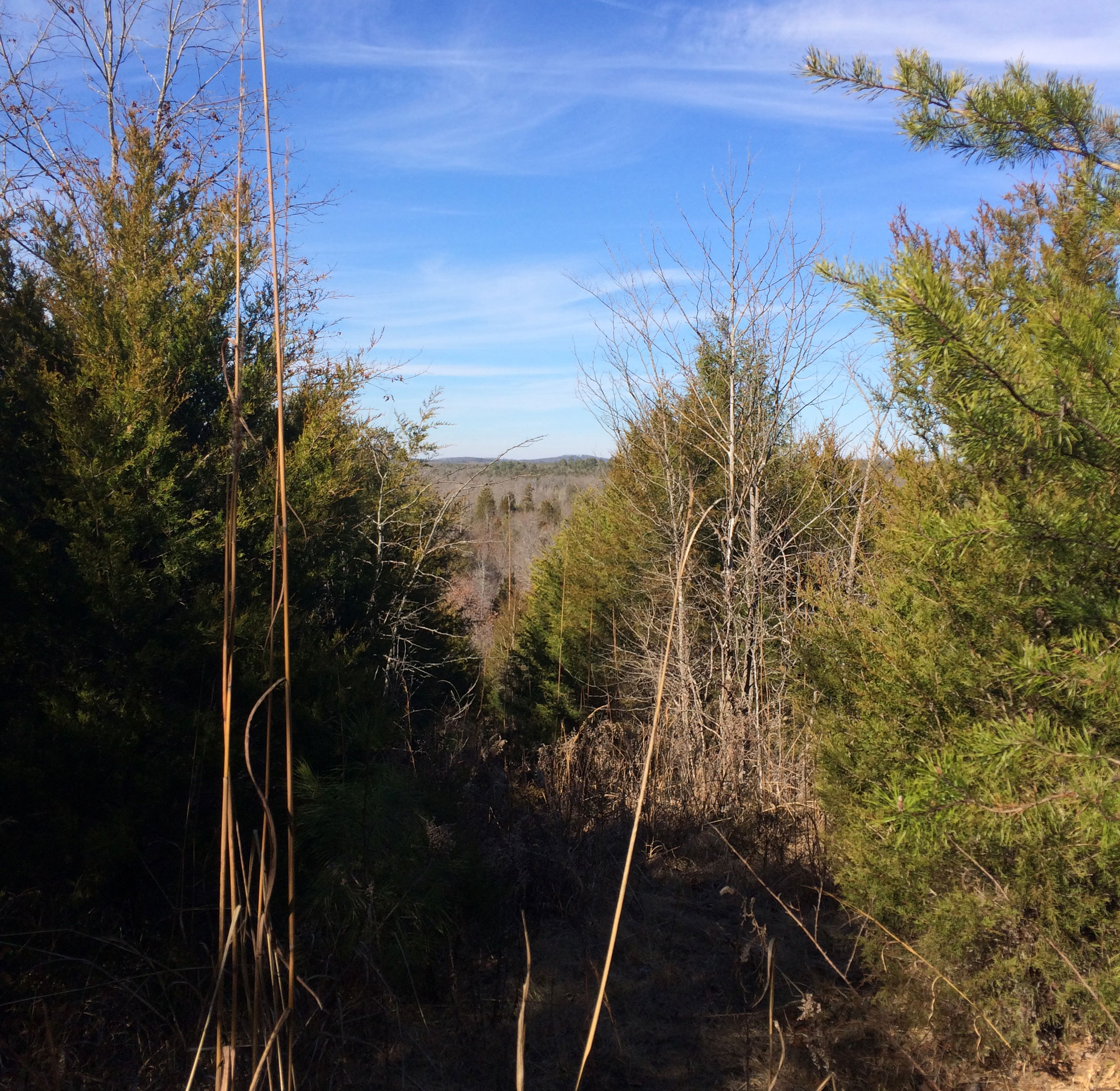 Gilkey Creek Property in Cherokee County