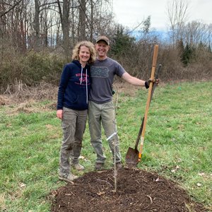 Erika and Dave Hollis planting trees during a recent volunteer event