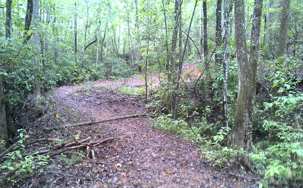 McCall Tract at Paris Mountain State Park