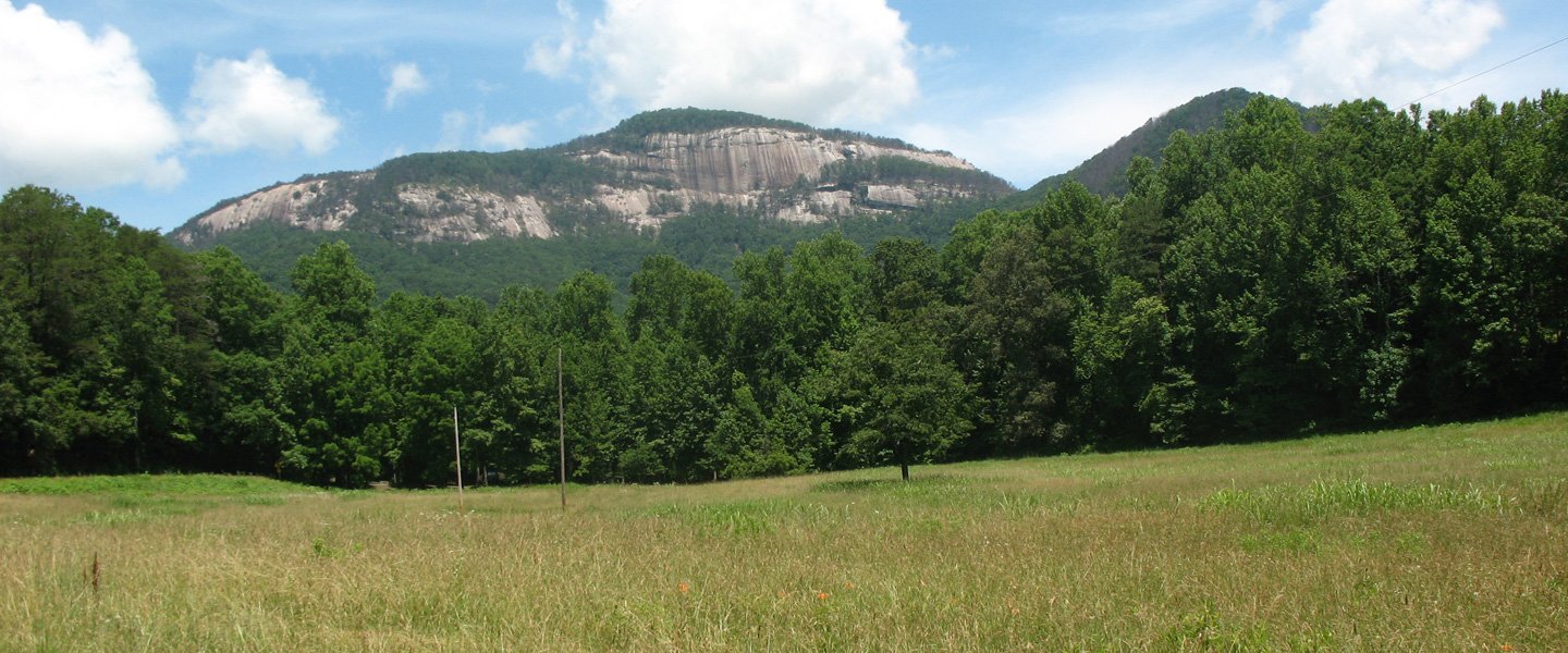Expanded protection of Grant Meadow in Pickens County received SCCB funding in 2020.