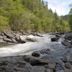 Action Alert: Restore the Chattooga River Gorge
