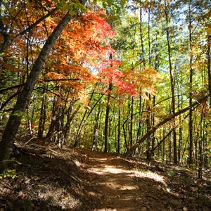 Three great treks for fall foliage viewing