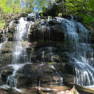 Waterfalls and Wildflowers: 5 great Upstate hikes to take in the sights and sounds of spring
