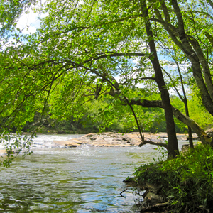 The Water Log: Celebrate the 50th Anniversary of the Clean Water Act!
