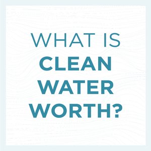 What is clean water 'worth?'