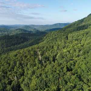 300 acres permanently protected in northern Greenville County