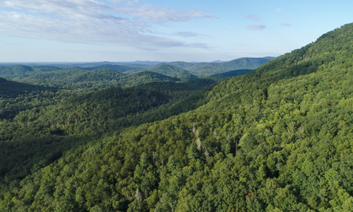 300 Acres Permanently Protected in Northern Greenville County