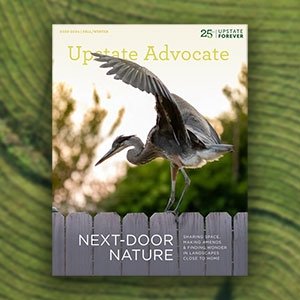 Next-Door Nature: Explore the latest issue of the Upstate Advocate