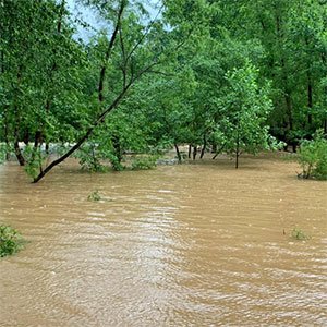 The Water Log: Local solutions to flooding and pollutant runoff