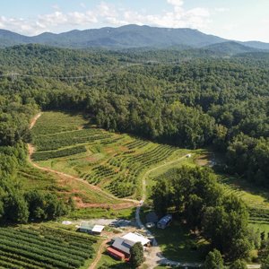 Nearly 3,600 acres protected by Upstate Forever in 2021