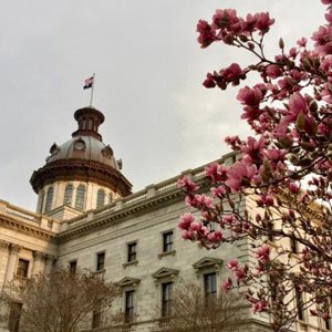 Legislative Updates 2020: Week 9